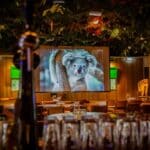 Thumbnail of http://Ouwehands%20dierenpark